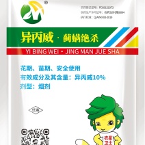 大棚蔬菜，花卉，蓟马黑蜘蛛一熏净支持全国发货，