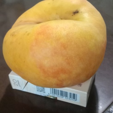 天后四两起步