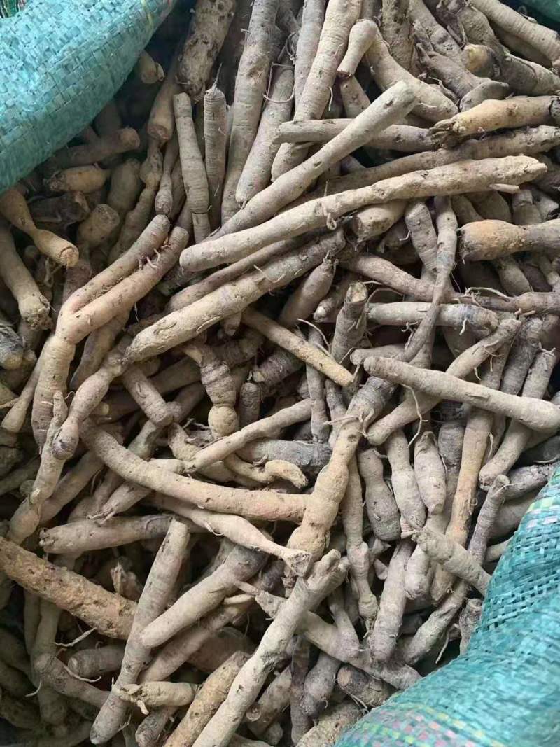 优质仙茅根部云南产地直供，，货量充足，全国无死角代收代卖，