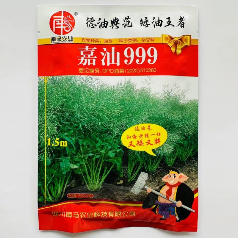 抗倒抗寒高含油油菜种子南马嘉油999油菜种子杂交