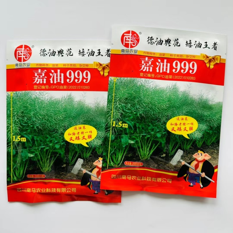 抗倒抗寒高含油油菜种子南马嘉油999油菜种子杂交