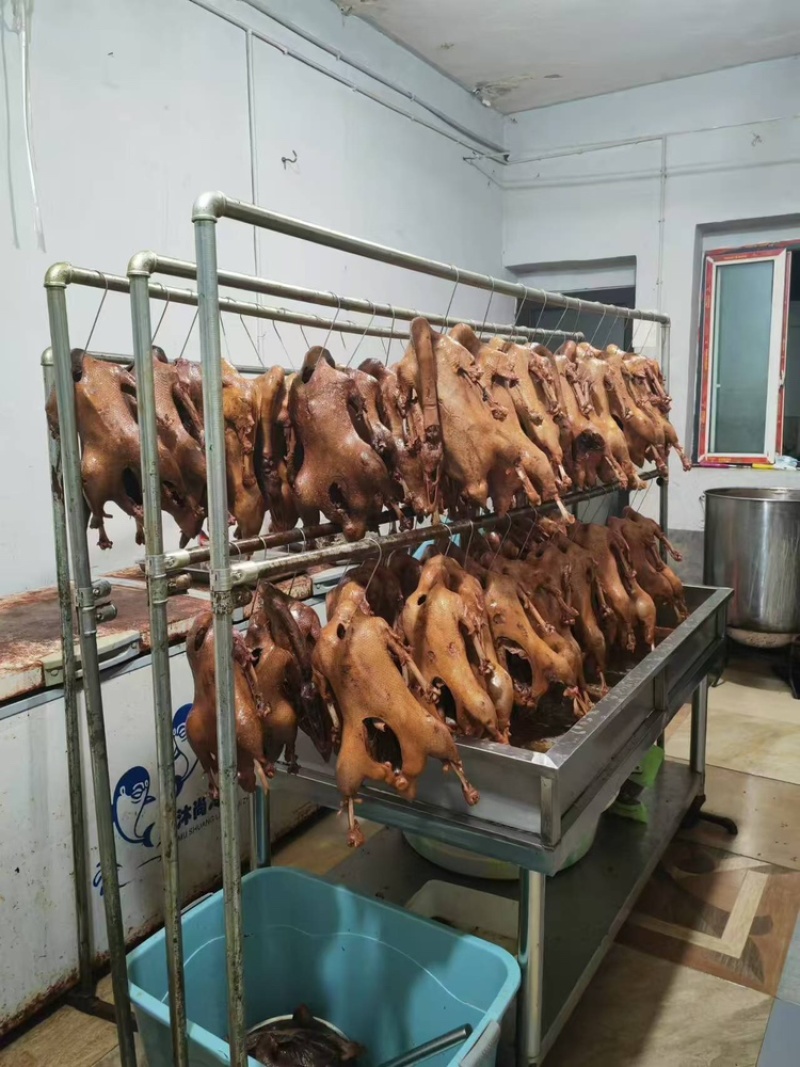 重庆荣昌卤鹅重庆特产卤鹅卤肉特色美食私房菜