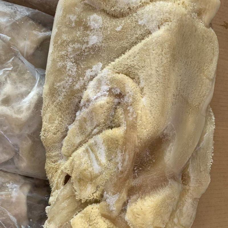 全熟牛肚