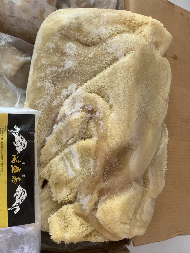 全熟牛肚