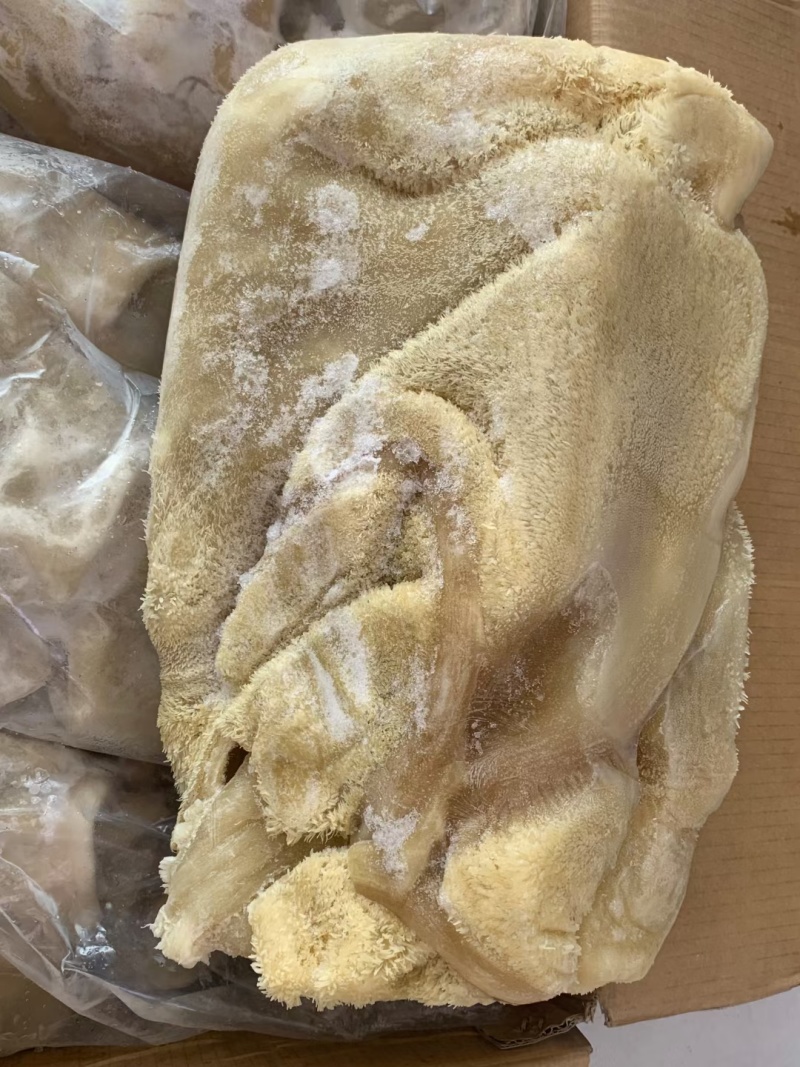 全熟牛肚