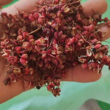 高山新干货大红袍花椒特麻，特香无杂质，无农药，自然生长