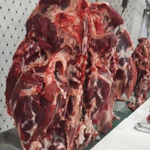 山东精品鲁西黄牛肉大量有货质量保证价格优惠欢迎咨询！