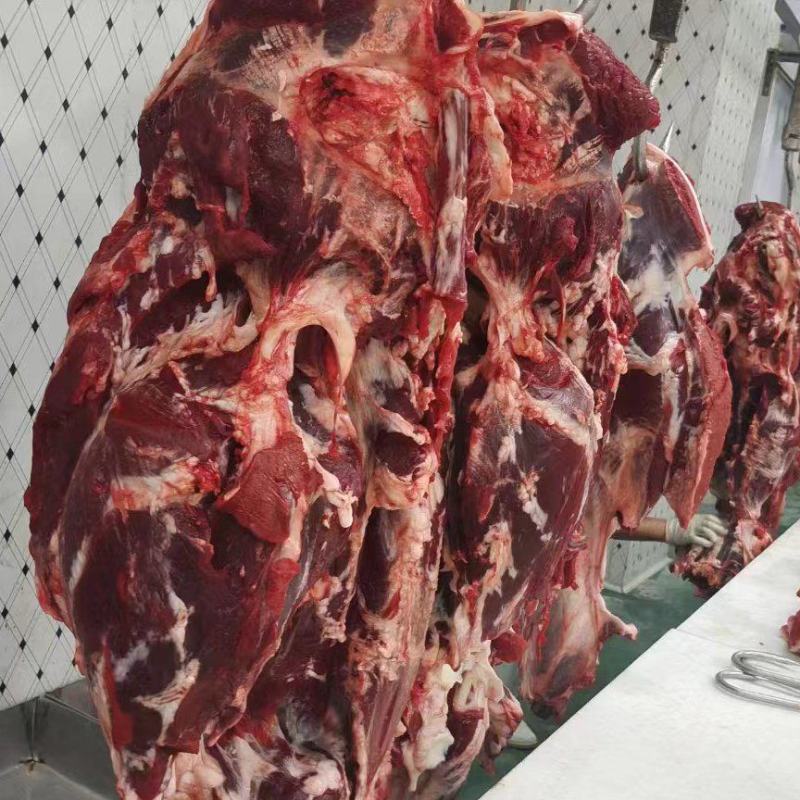 山东精品鲁西黄牛肉大量有货质量保证价格优惠欢迎咨询！