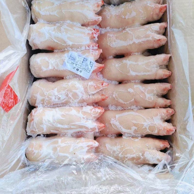 带筋前蹄