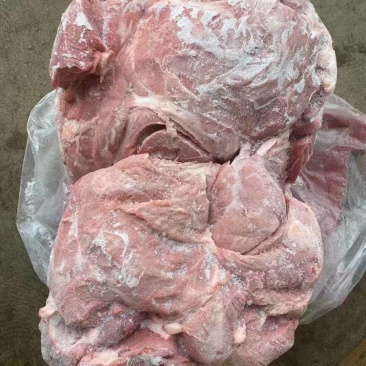 母猪二号肉