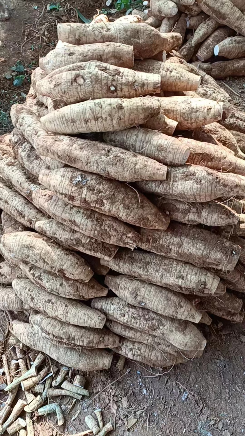 大量供应鲜货粉葛次品厂货打葛根粉专用