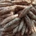大量供应鲜货粉葛次品厂货打葛根粉专用
