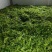 临沧茶仓