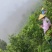 临沧茶仓
