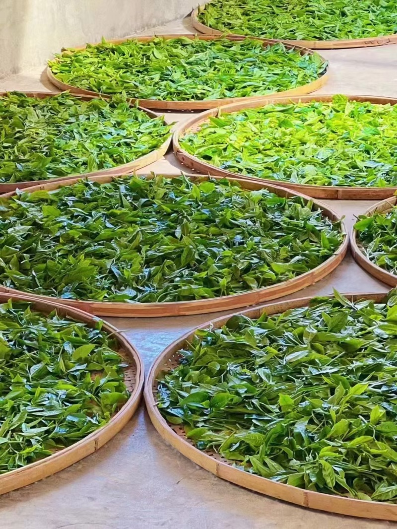 临沧茶仓