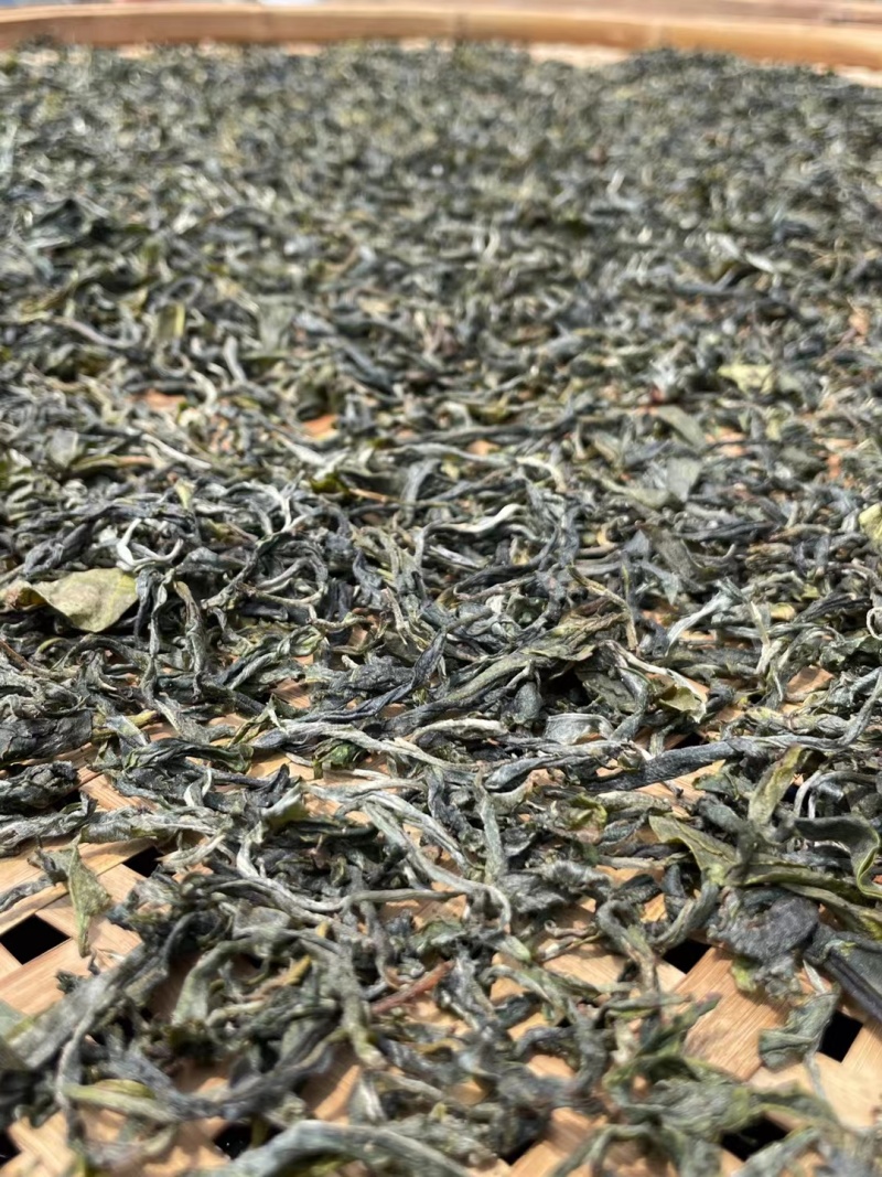 临沧茶仓