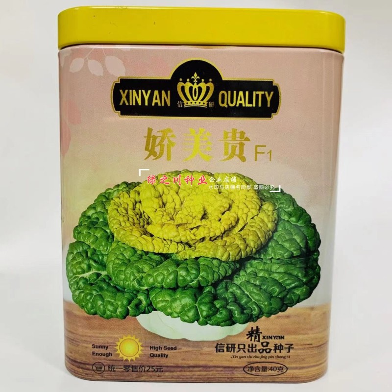 基地专用耐寒黄心菜种子特矮棵淮南黄心乌种子乌菜种籽