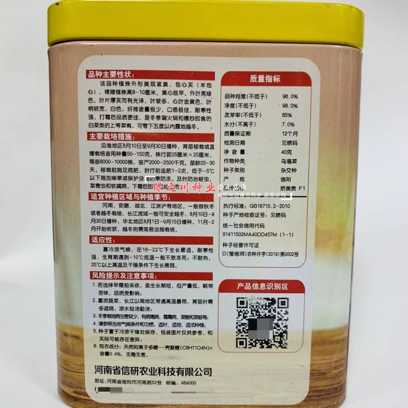 基地专用耐寒黄心菜种子特矮棵淮南黄心乌种子乌菜种籽