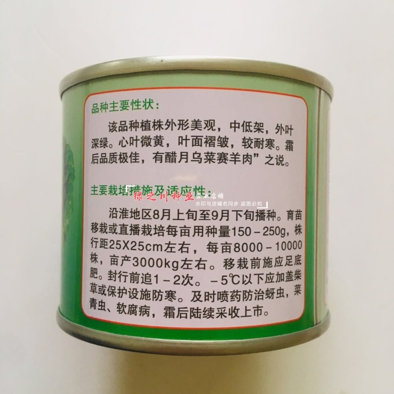 基地专用耐寒黄心菜种子特矮棵淮南黄心乌种子乌菜种籽