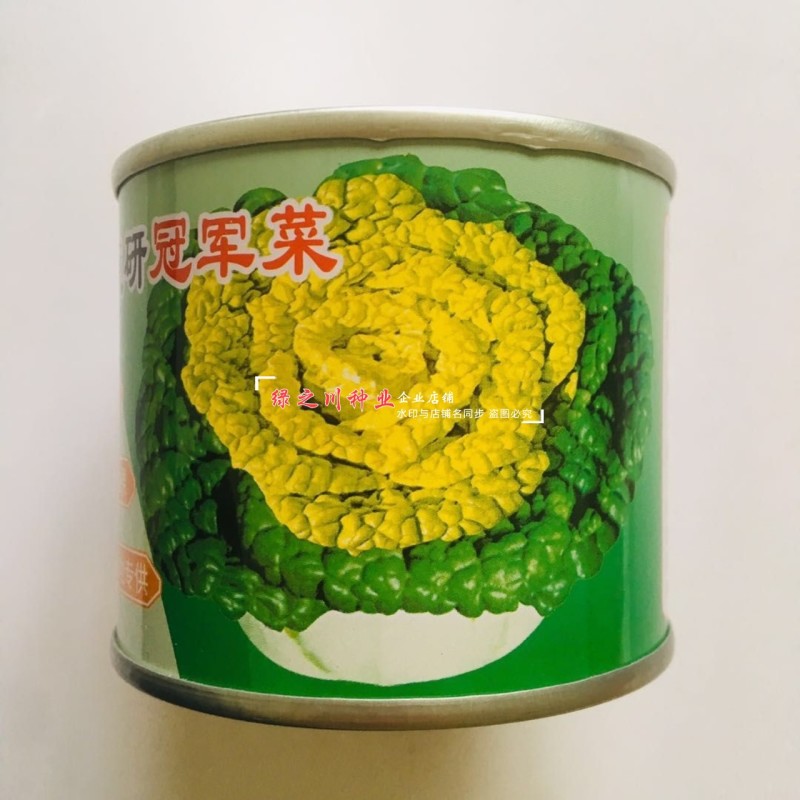 基地专用耐寒黄心菜种子特矮棵淮南黄心乌种子乌菜种籽
