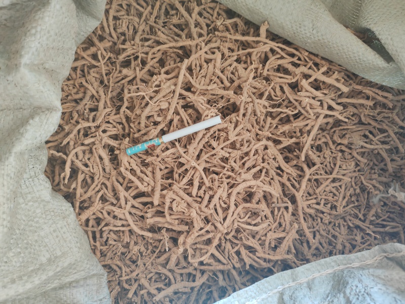 【实力推荐】远志可视频看货一手货源品质保证对接全国