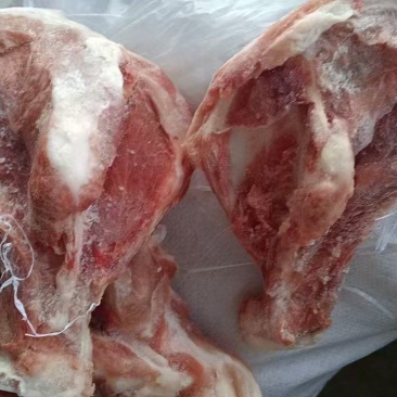 多肉扇骨