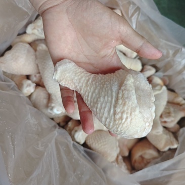单冻琵琶腿纯干小水统统有货常年生产