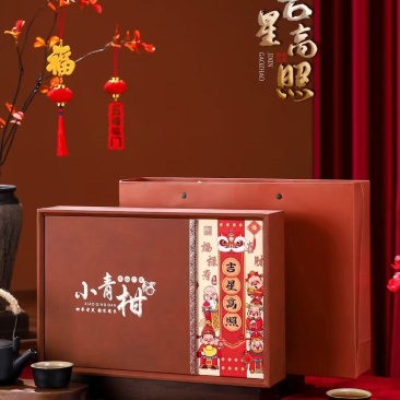 正宗新会小青柑普洱茶陈皮宫廷茶柑普茶