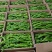 精品辣椒陇椒货源充足量大从优质量保证，可以视频货