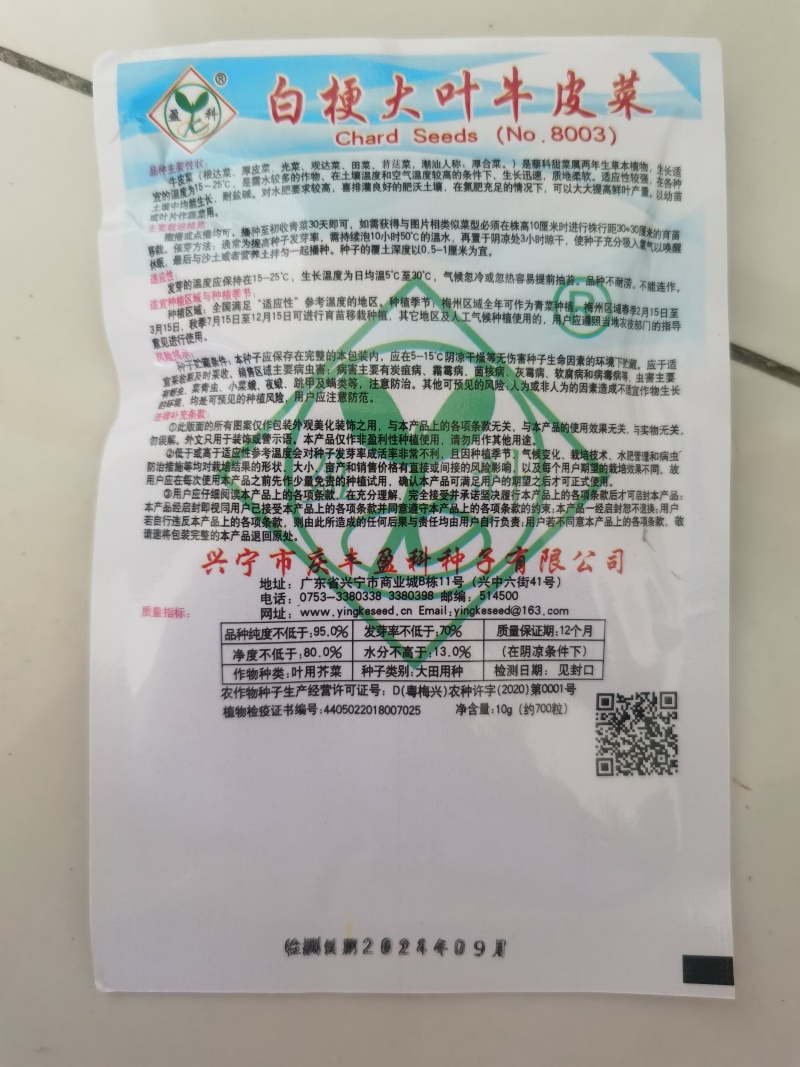 白杆牛皮菜种子四川厚皮菜君达菜种籽大叶白杆绿甜