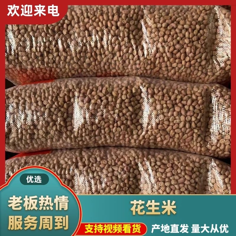 白沙花生米大颗粒高油绿