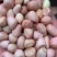 白沙花生米大颗粒高油绿