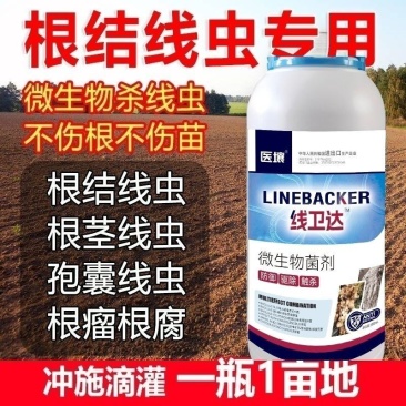 根结线虫专用根线虫根瘤病根肿病不伤根蔬菜果树农用防腐菌剂