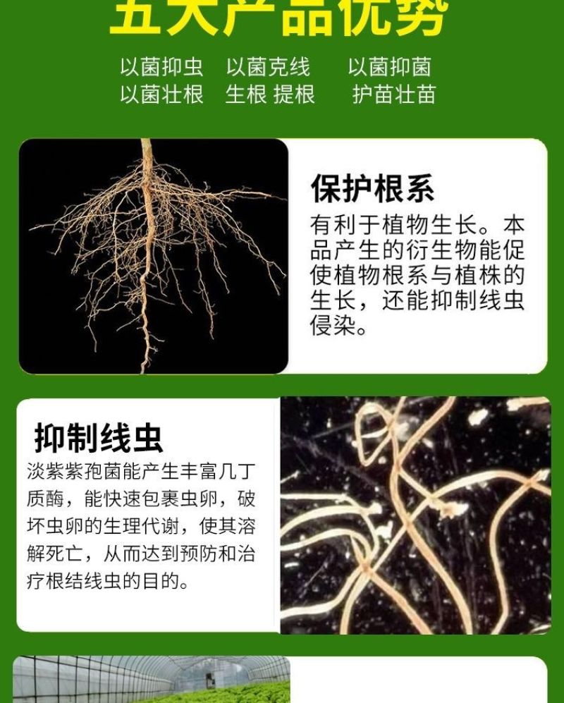 根结线虫专用根线虫根瘤病根肿病不伤根蔬菜果树农用防腐菌剂