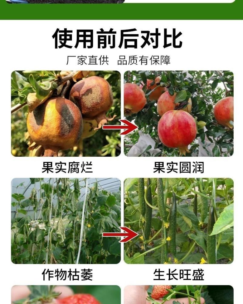 根结线虫专用根线虫根瘤病根肿病不伤根蔬菜果树农用防腐菌剂