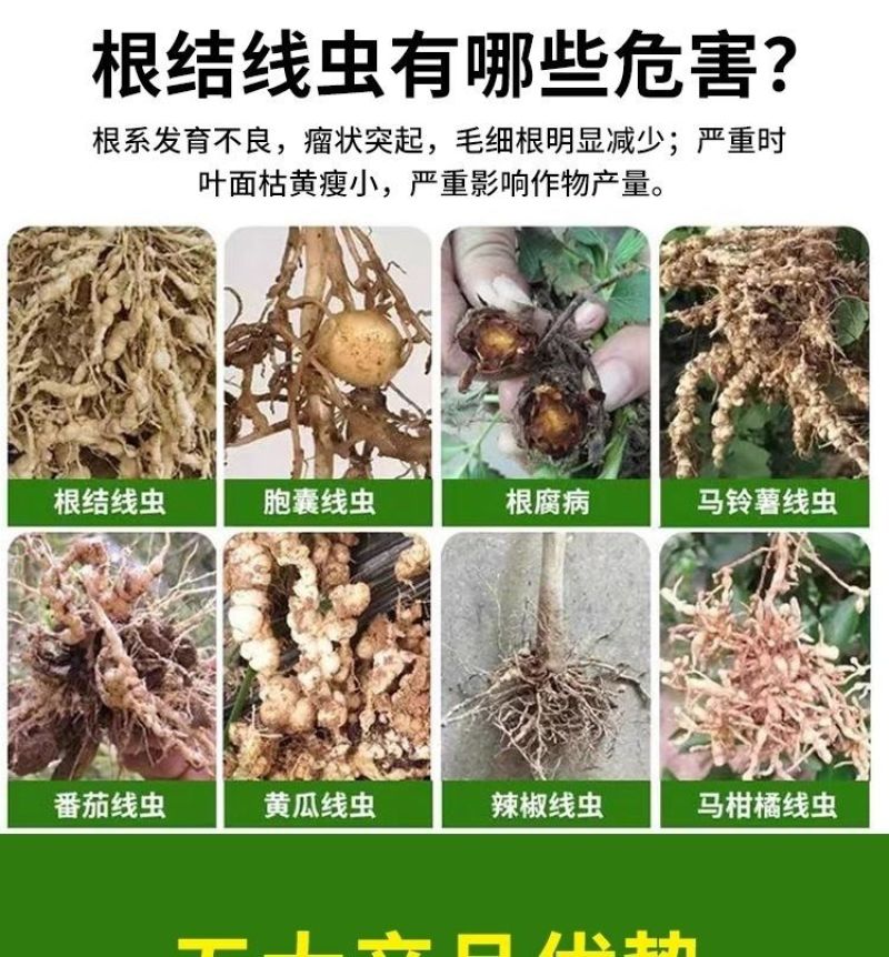 根结线虫专用根线虫根瘤病根肿病不伤根蔬菜果树农用防腐菌剂