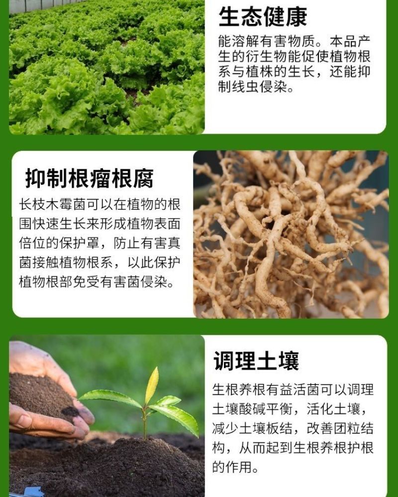 根结线虫专用根线虫根瘤病根肿病不伤根蔬菜果树农用防腐菌剂