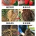 根结线虫专用根线虫根瘤病根肿病不伤根蔬菜果树农用防腐菌剂