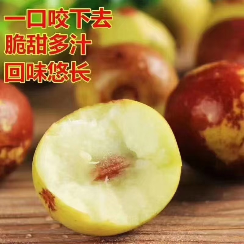 沾化大棚冬枣