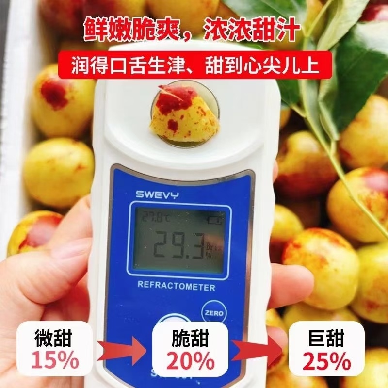 沾化大棚冬枣