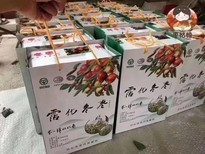 沾化大棚冬枣