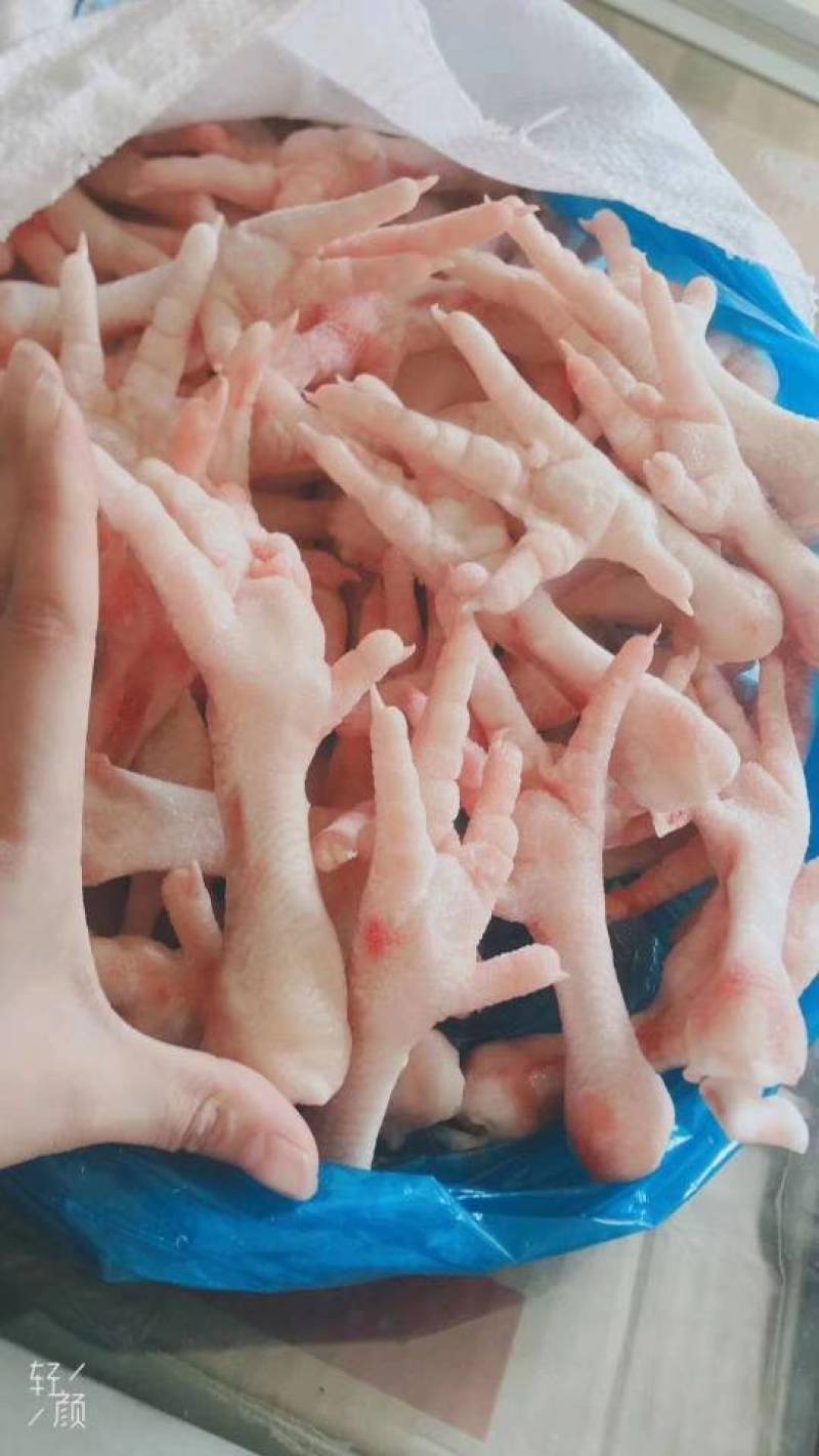 纯干鸡爪中号大号基地直发可发往全国市场！