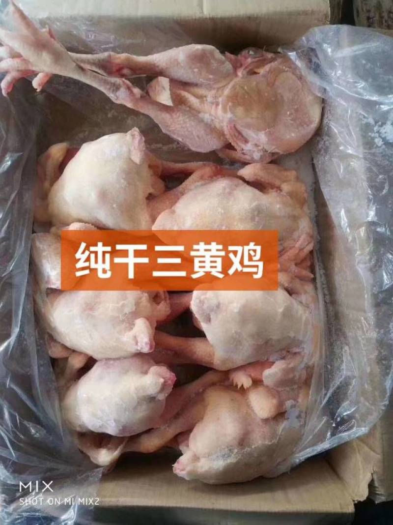纯干三黄鸡诚信经营，客户至上！以质量求生存