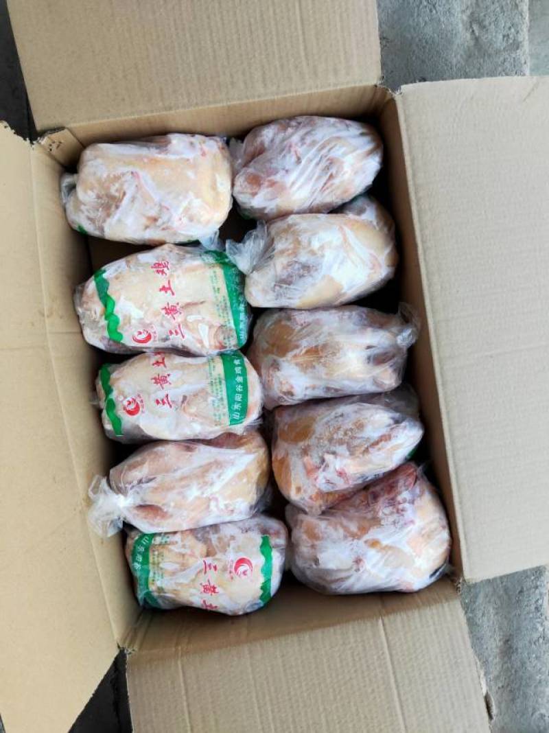 纯干西装鸡全量批发可发往全国市场诚信经营