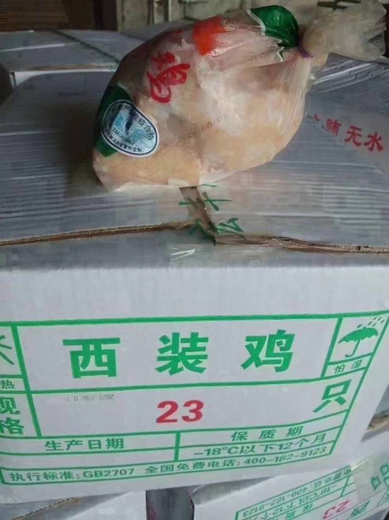 纯干西装鸡全量批发可发往全国市场诚信经营