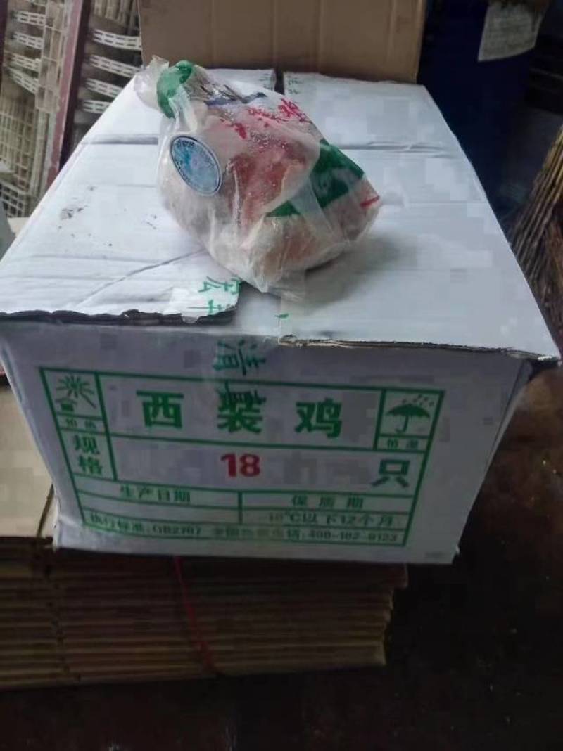 纯干西装鸡全量批发可发往全国市场诚信经营