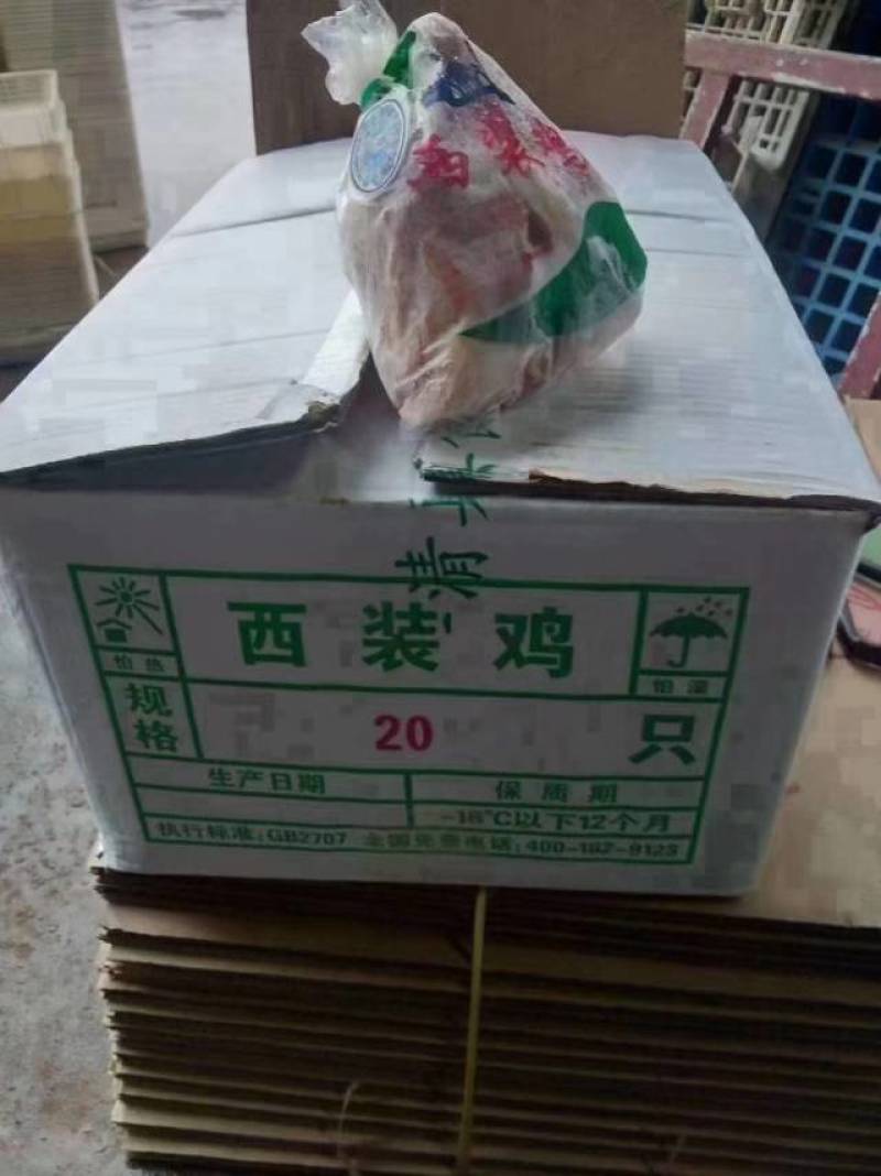 纯干西装鸡全量批发可发往全国市场诚信经营