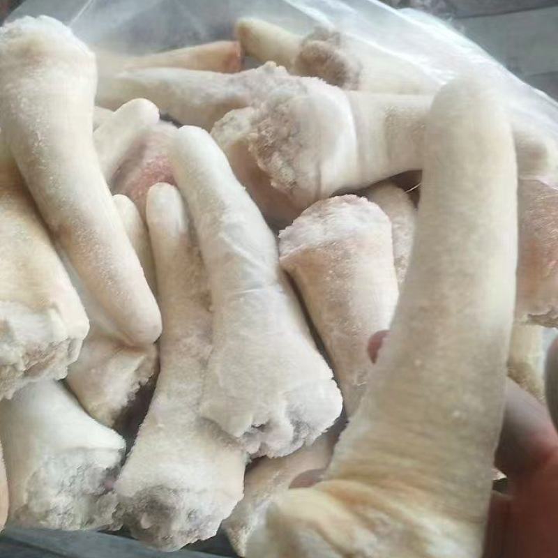 短尾