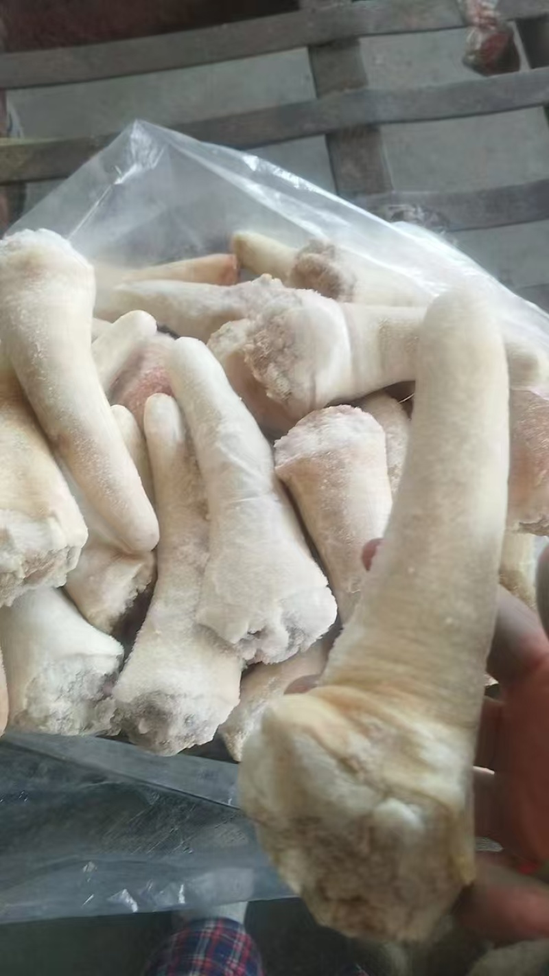 短尾