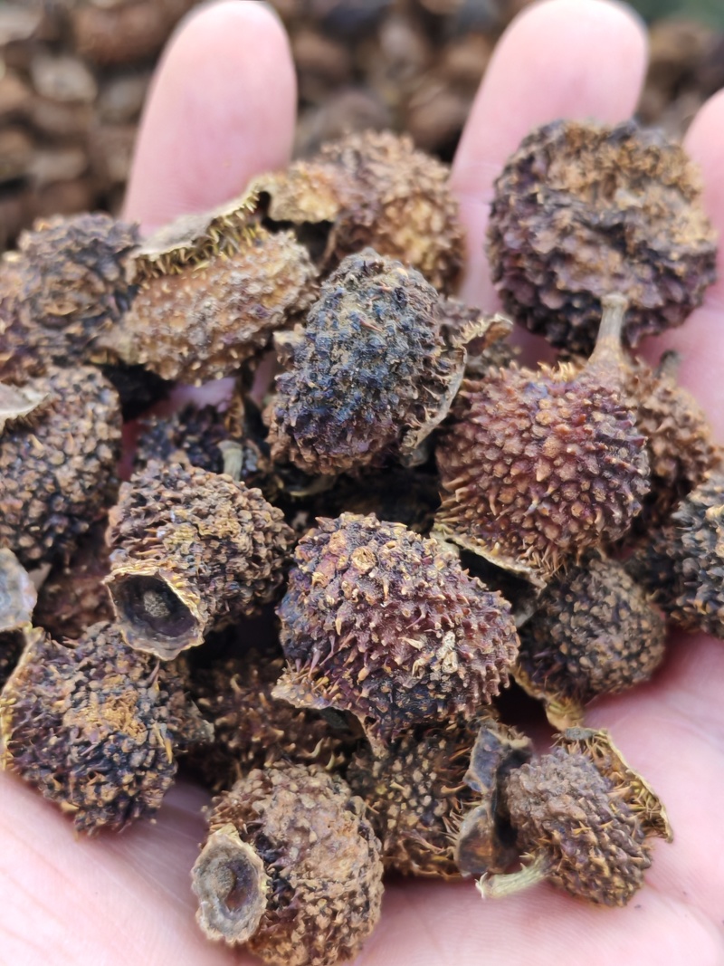 刺梨干刺梨果干货大货批发刺梨果干一件代发
